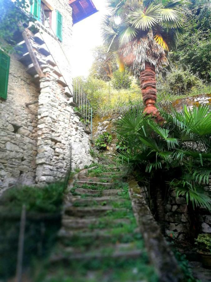 Appartement Rustico Vista Lago à Lezzeno Extérieur photo